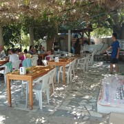 Sevgi Bacı Gözleme Evi